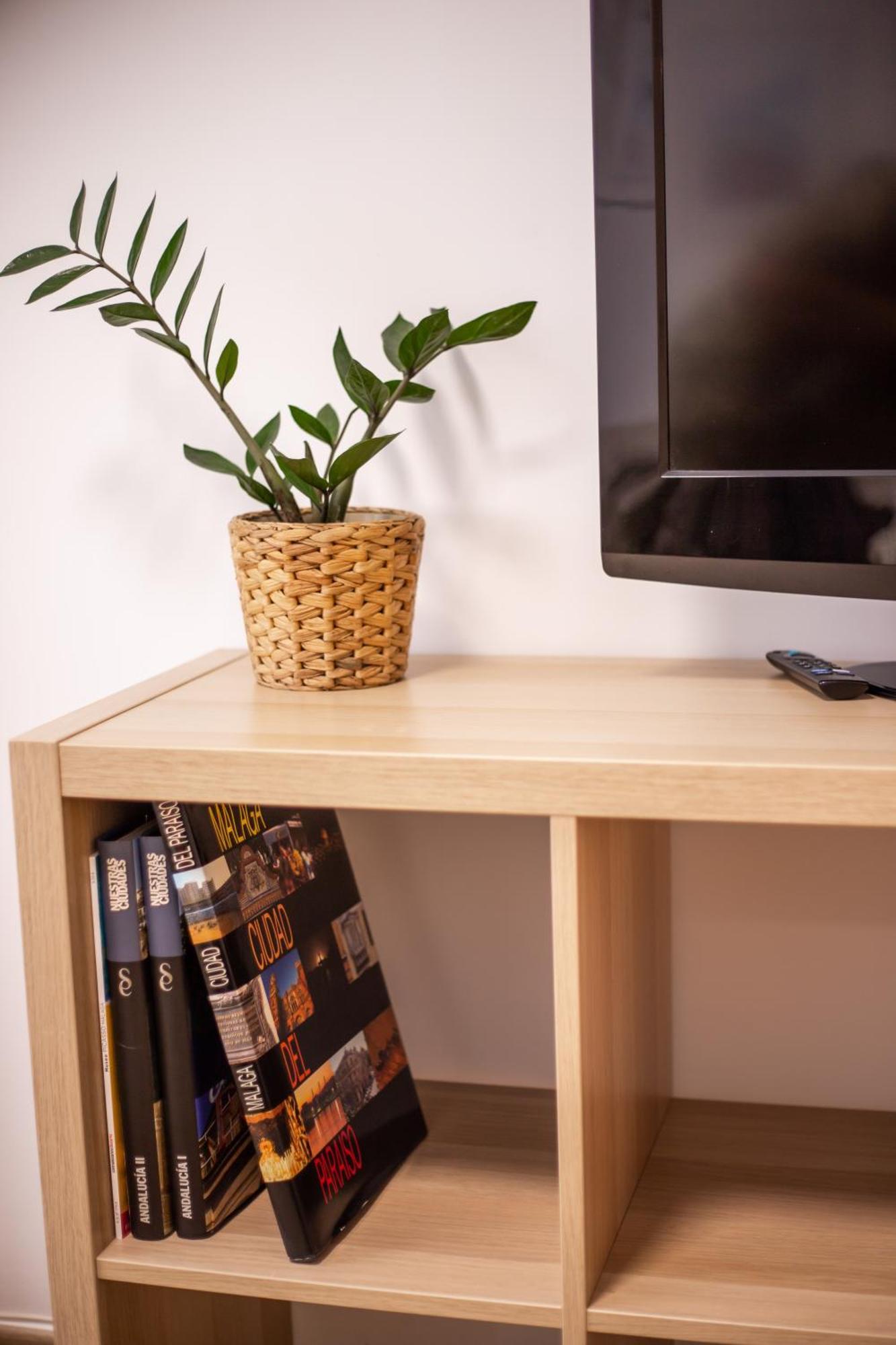 Apartamiento Con Naranjas Málaga